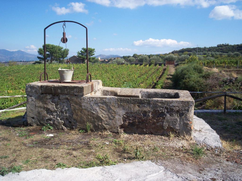 Etna Wine Azienda Agrituristica Passopisciaro Ruang foto