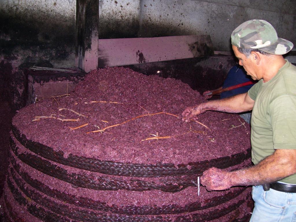 Etna Wine Azienda Agrituristica Passopisciaro Bagian luar foto