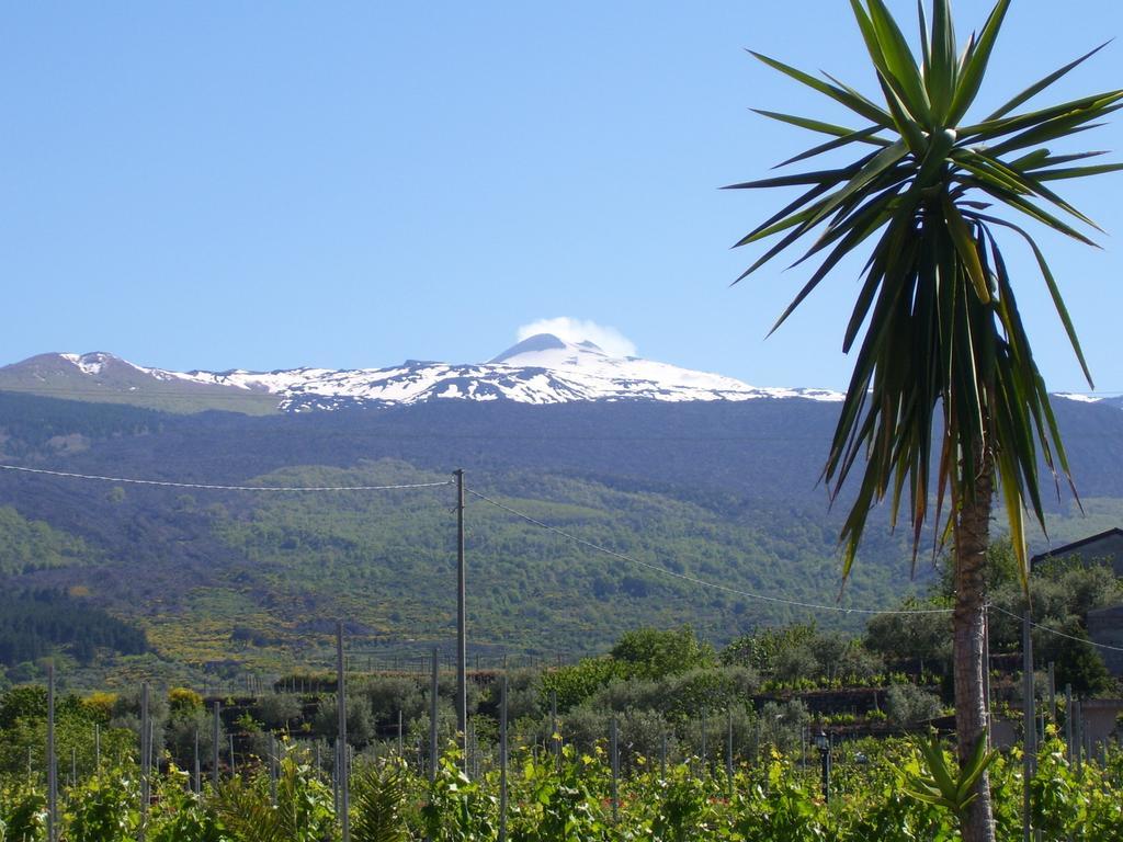 Etna Wine Azienda Agrituristica Passopisciaro Bagian luar foto