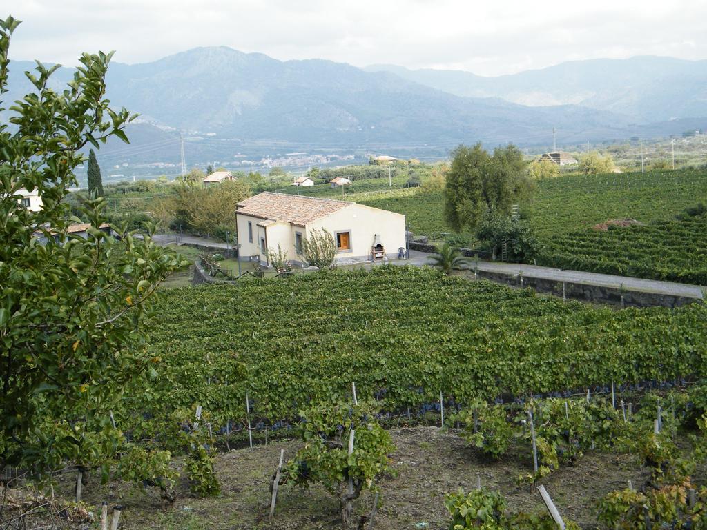 Etna Wine Azienda Agrituristica Passopisciaro Ruang foto